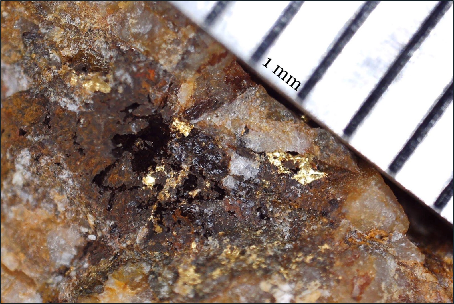 Visible gold from a grab sample from the Bonanza Gold Zone (362 g/t Au)